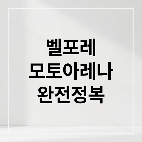 벨포레
모토아레나
완전정복 (벨포레 모토아레나)