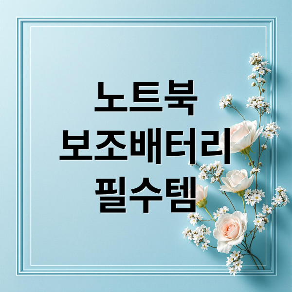 노트북
보조배터리
필수템 (노트북 보조배터리 충전)