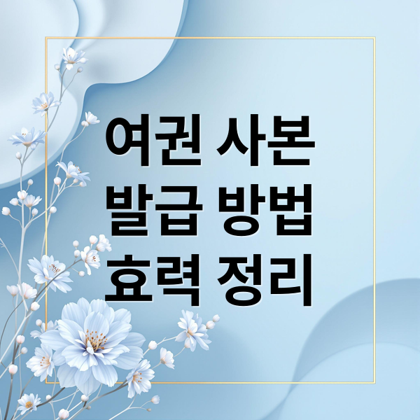 여권 사본
발급 방법
효력 정리 (여권 사본 발급 절차)