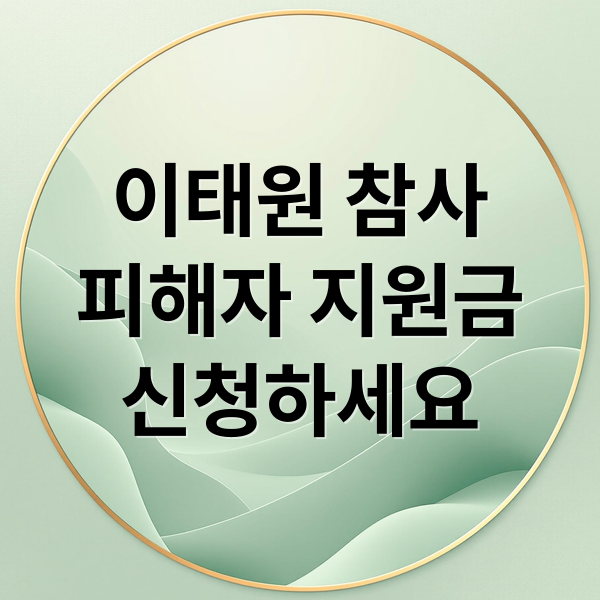 이태원 참사
피해자 지원금
신청하세요 (이태원 참사 피해 지원)