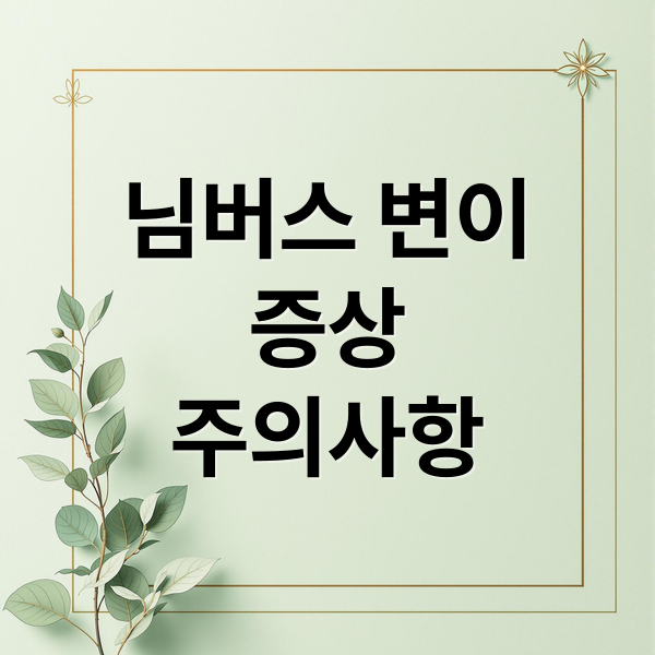 님버스 변이
증상
주의사항 (코로나19 변이 님버스 증상)