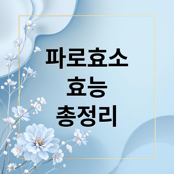 파로효소
효능
총정리 (파로효소 효능 부작용 섭취방법)