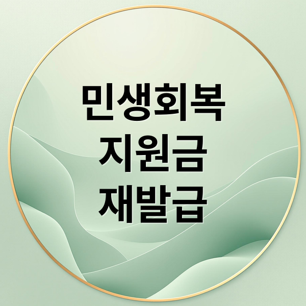 민생회복
지원금
재발급 (민생회복지원금 재발급)