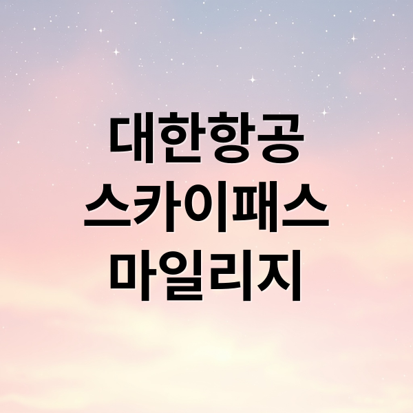 대한항공
스카이패스
마일리지 (대한항공 마일리지 스카이패스 사용법)