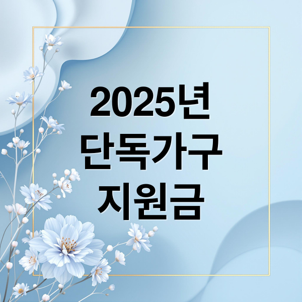 2025년
단독가구
지원금 (2025년 단독가구 지원금 신청 방법)