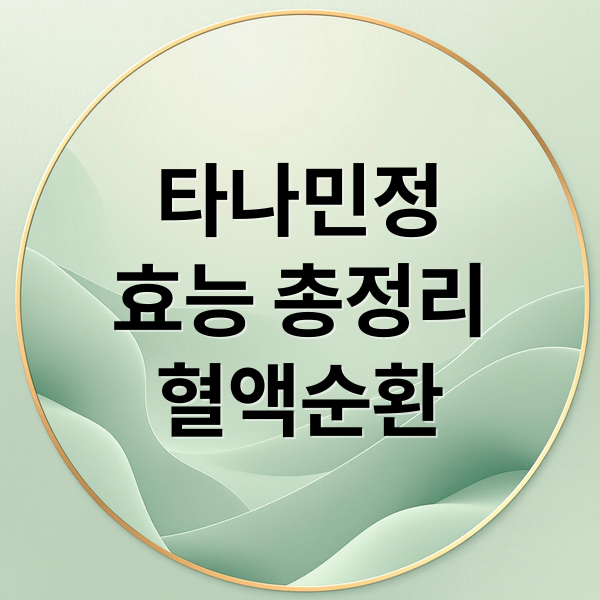 타나민정
효능 총정리
혈액순환 (타나민정 40mg 효능)
