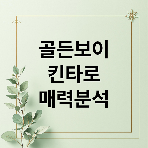 골든보이
킨타로
매력분석 (골든 보이 애니메이션)
