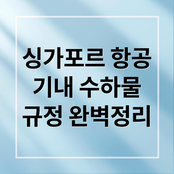 싱가포르 항공
기내 수하물
규정 완벽정리 (싱가포르 항공 기내 수화물 규정)