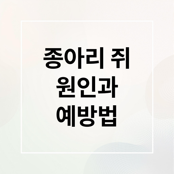 종아리 쥐
원인과
예방법 (종아리 쥐 원인 예방)