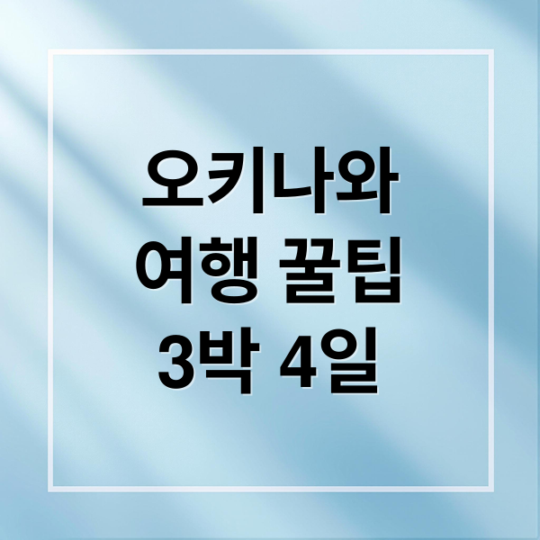 오키나와
여행 꿀팁
3박 4일 (오끼나와)