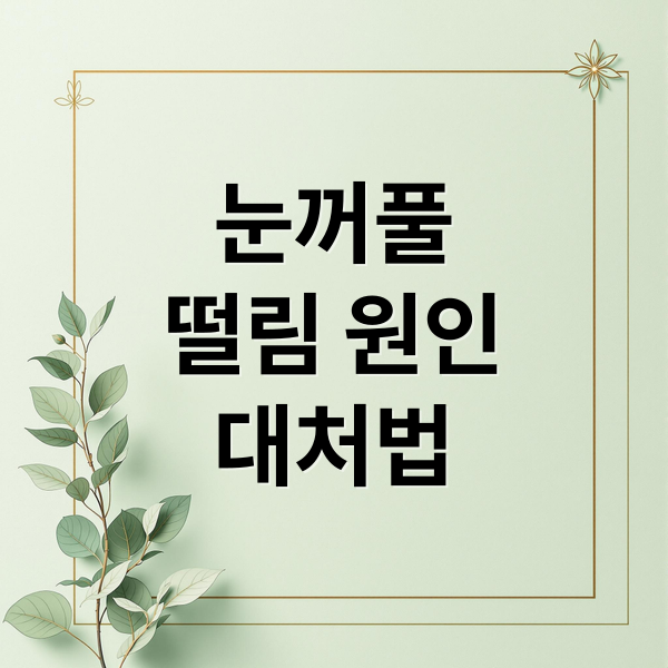 눈꺼풀
떨림 원인
대처법 (눈꺼풀 떨림 증상)