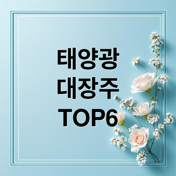 태양광
대장주
TOP6 (태양광 관련주 대장주 TOP6, 태양광 끝났다고? 지금 돈은 6종목으로 몰리고 있다)