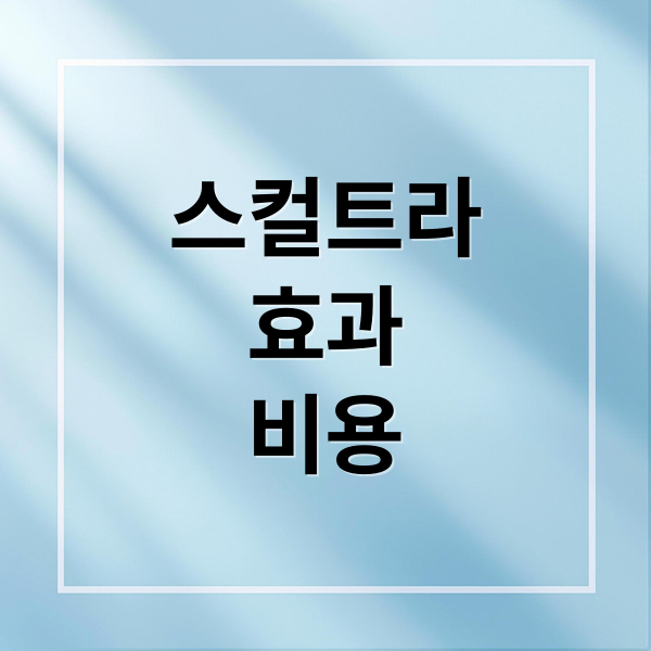 스컬트라
효과
비용 (스컬트라 가격 부위별 비용 유지기간)