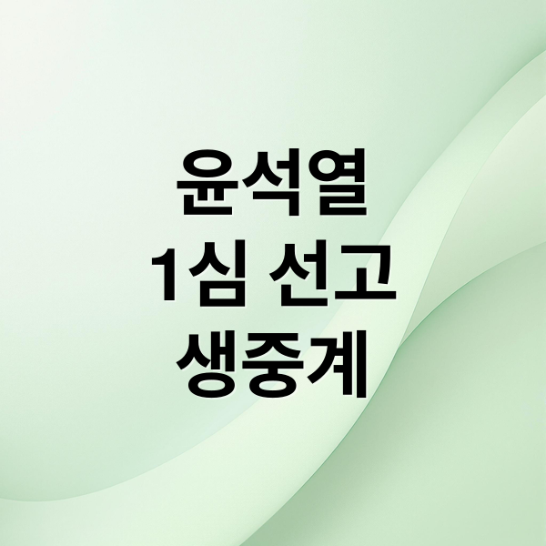 윤석열 전 대통령 1심 선고 생중계 및 법정 전경