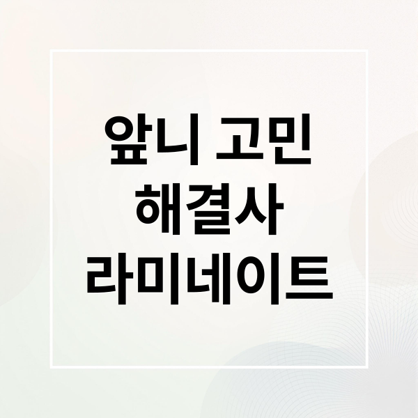 앞니 고민
해결사
라미네이트 (라미네이트 가격)