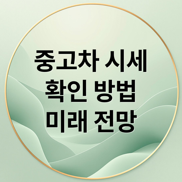 중고차 시세
확인 방법
미래 전망 (중고차 시세)