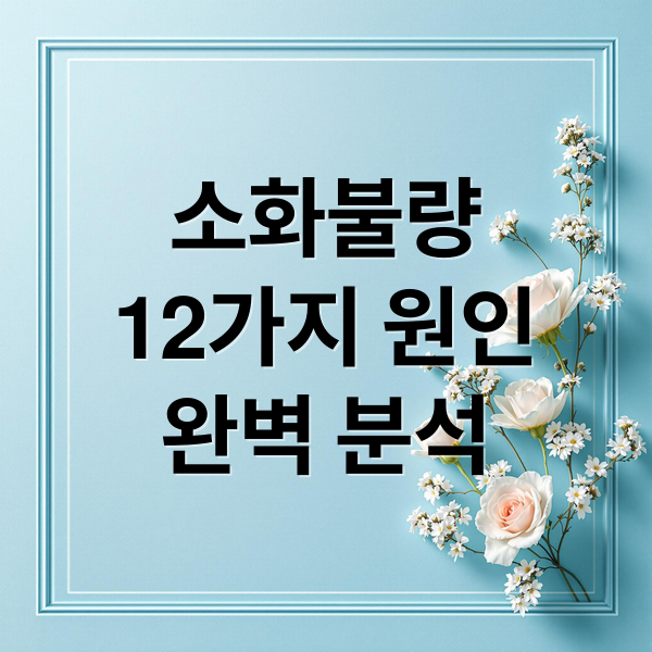 소화불량
12가지 원인
완벽 분석 (소화불량 원인 12가지)