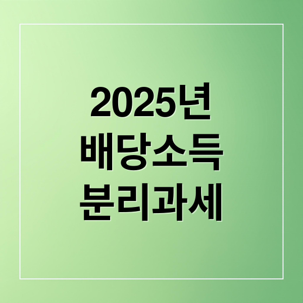 2025년
배당소득
분리과세 (배당소득 분리과세 정리)