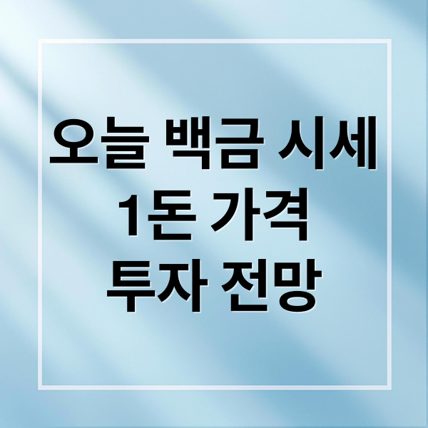 오늘 백금 시세
1돈 가격
투자 전망 (백금 시세)