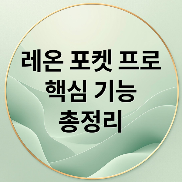 레온 포켓 프로
핵심 기능
총정리 (소니 레온 포켓 프로)