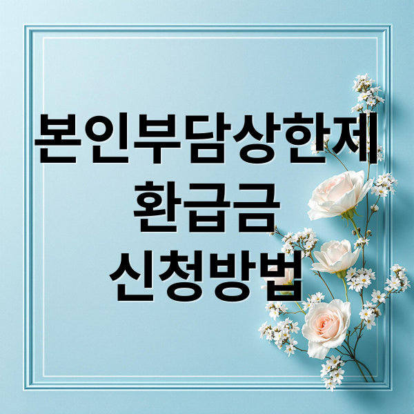 본인부담상한제
환급금
신청방법 (본인부담상한제)