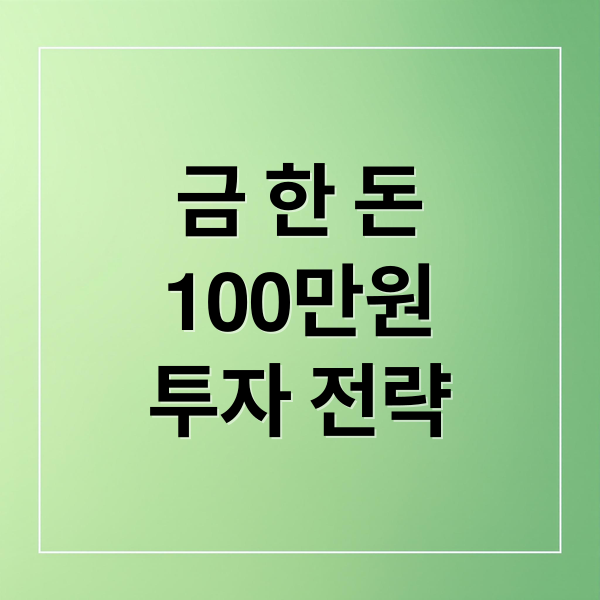 금 한 돈
100만원
투자 전략 (금값 100만원 돌파)