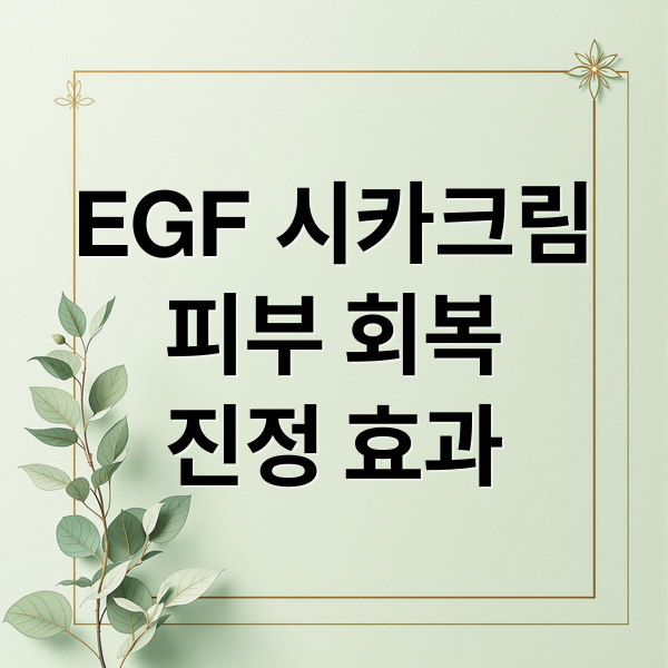 EGF 시카크림
피부 회복
진정 효과 (EGF 재생크림 시카크림 추천)