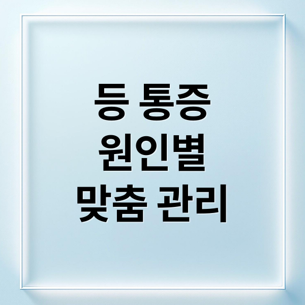 등 통증 완전 관리 가이드