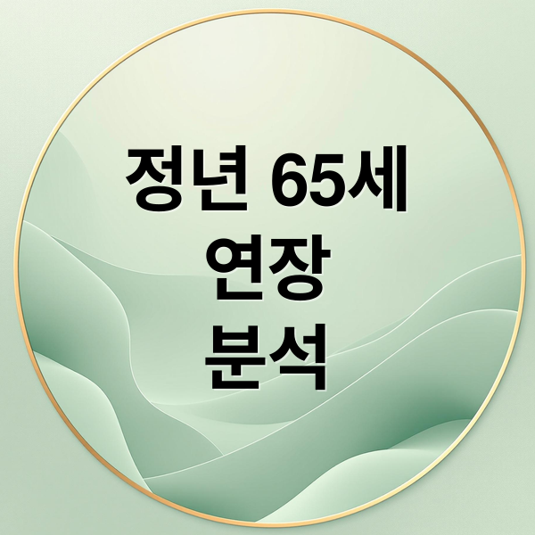 정년 65세
연장
분석 (정년 연장 65세 시행)