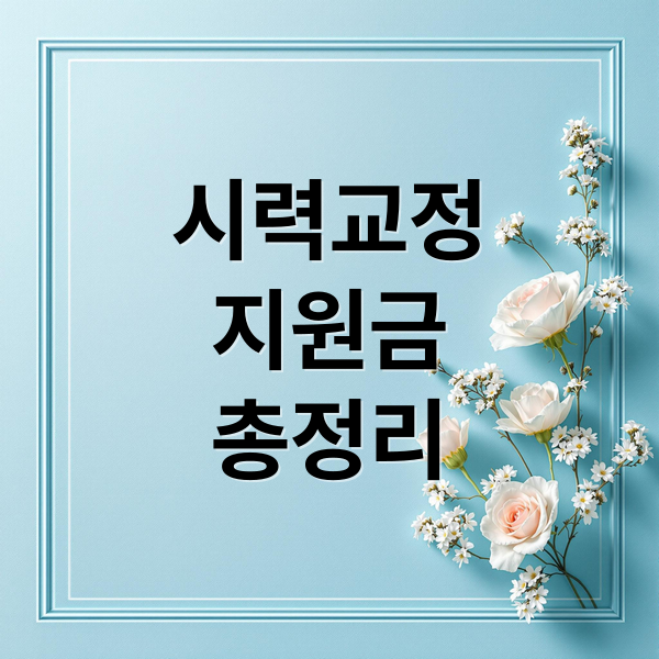시력교정
지원금
총정리 (시력교정 지원금)