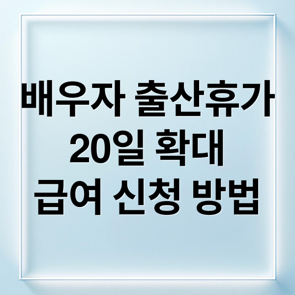 배우자 출산휴가
20일 확대
급여 신청 방법 (배우자 출산휴가 급여 신청 실수 막는 체크 가이드 정리)