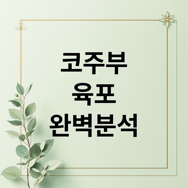 코주부
육포
완벽분석 (코주부 육포)