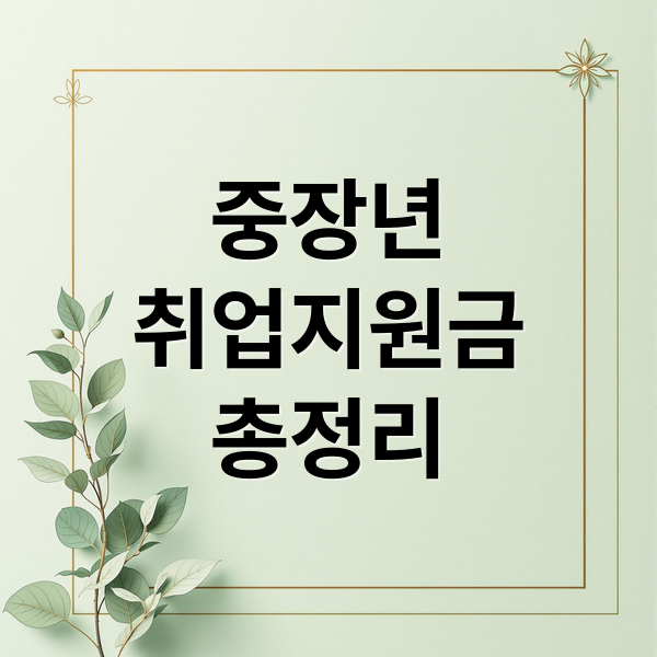 중장년
취업지원금
총정리 (중장년 취업 지원 신청 방법 총정리 가이드)