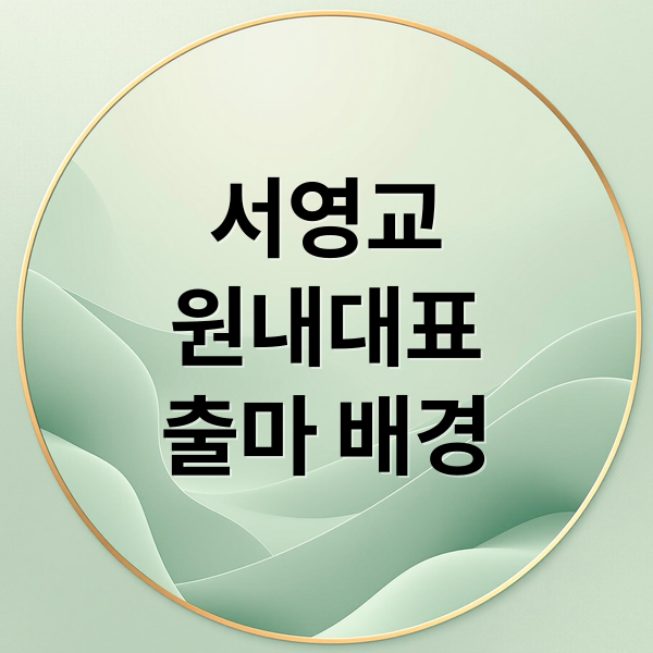 서영교
원내대표
출마 배경 (서영교 의원 원내대표 선거)