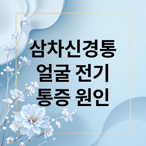 삼차신경통
얼굴 전기
통증 원인 (삼차신경통 증상 12가지)