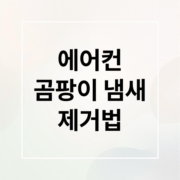 에어컨
곰팡이 냄새
제거법 (에어컨 곰팡이 냄새)