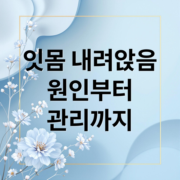 잇몸 내려앉음
원인부터
관리까지 (잇몸 내려앉음)