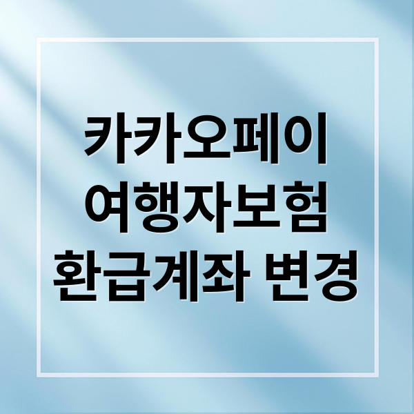 카카오페이
여행자보험
환급계좌 변경 (카카오 여행자보험 환급금 계좌 변경)