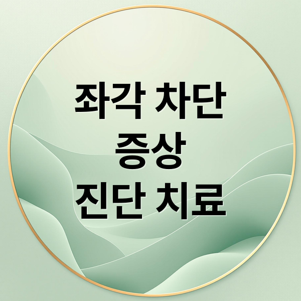 좌각 차단
증상
진단 치료 (좌각 차단 증상 진단)