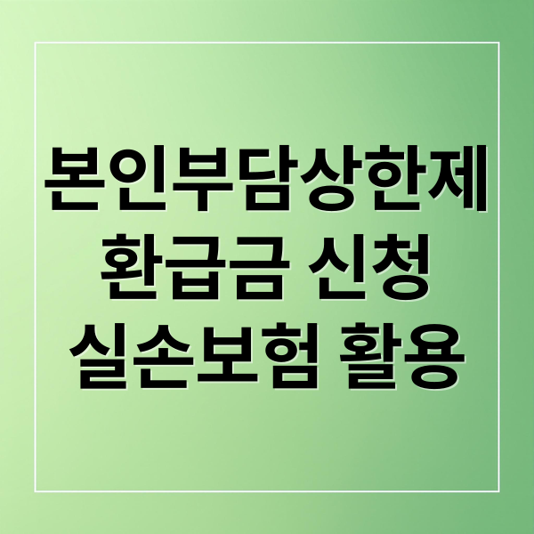 본인부담상한제
환급금 신청
실손보험 활용 (본인부담상한제)