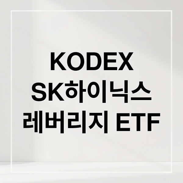 KODEX
SK하이닉스
레버리지 ETF (KODEX SK하이닉스 레버리지 ETF 가입)