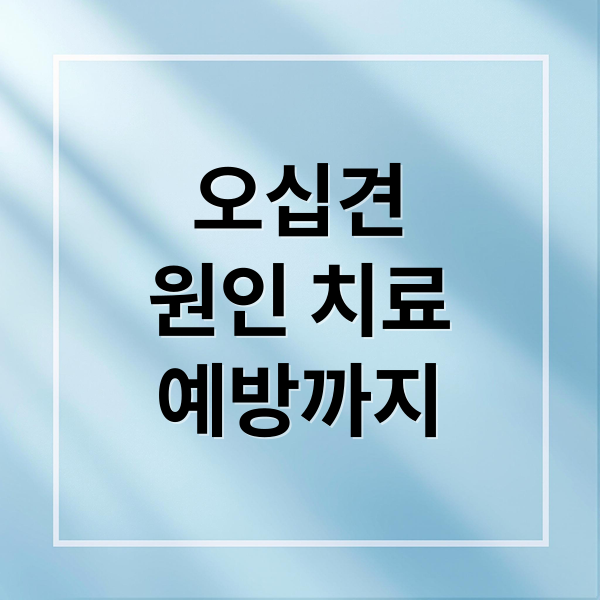 오십견
원인 치료
예방까지 (오십견 치료방법 후기)