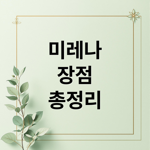 미레나
장점
총정리 (미레나 시술)