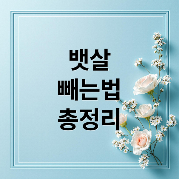 뱃살
빼는법
총정리 (뱃살 지방 제거 방법 추천)