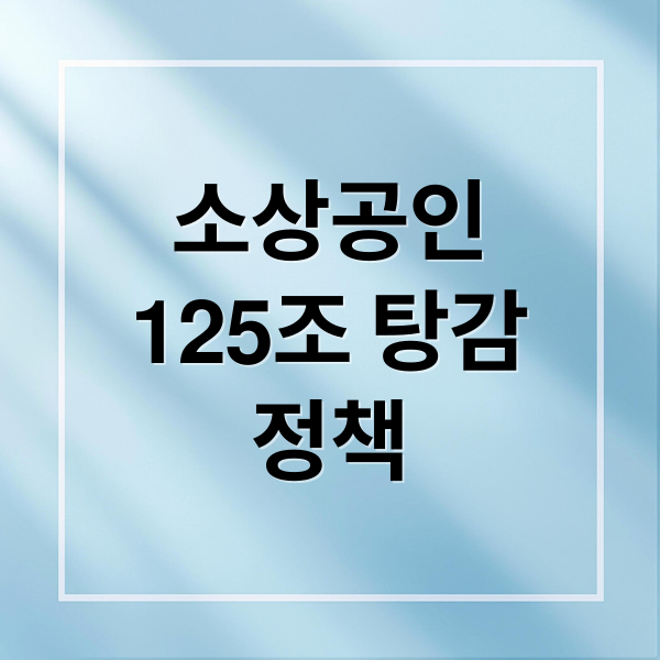 소상공인
125조 탕감
정책 (소상공인 대출 탕감 125조)