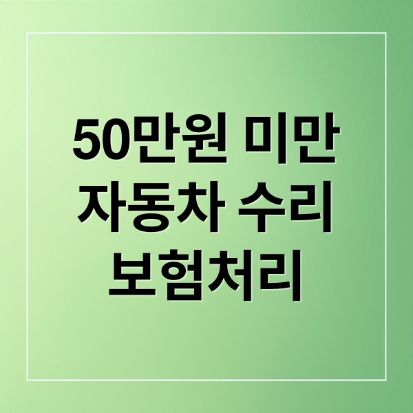 50만원 미만
자동차 수리
보험처리 (자동차 자차 50만원미만 보험처리)