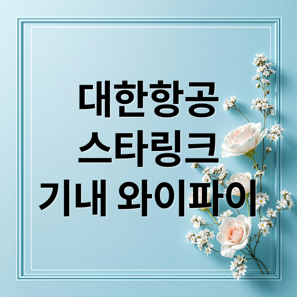 대한항공
스타링크
기내 와이파이 (대한항공 초고속 와이파이 올여름)