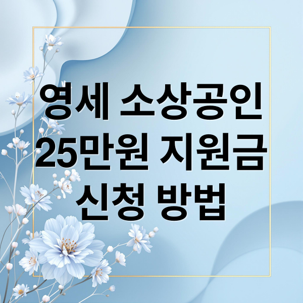 영세 소상공인
25만원 지원금
신청 방법 (영세 소상공인 지원금 기준)