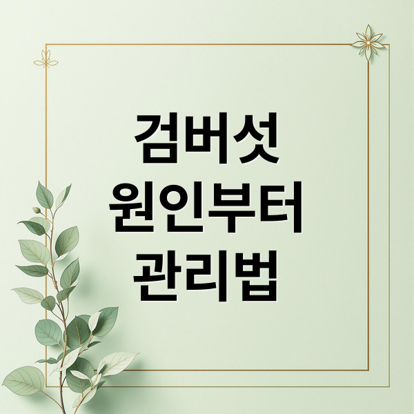검버섯
원인부터
관리법 (얼굴 손등 검버섯 원인 홈케어)