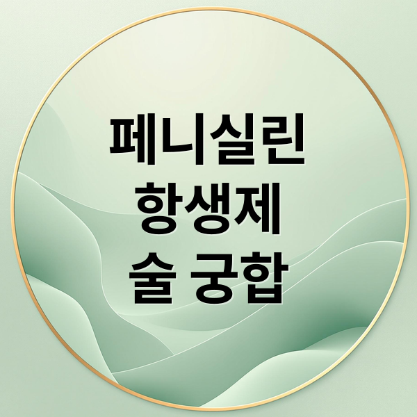 페니실린
항생제
술 궁합 (페니실린계 항생제 술)